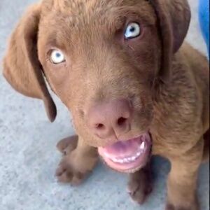 Meet your Posher, Miranda